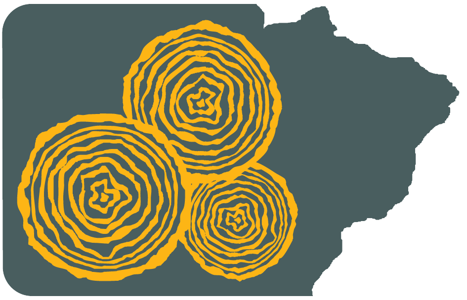 Brasilmad Logo